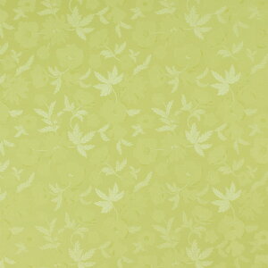 e[u NX / e[uNX _ChV[Y CgO[t[ 67044 :140cm 10cmPʐؔ iԍ:8647151 ʏz s / ؂蔄