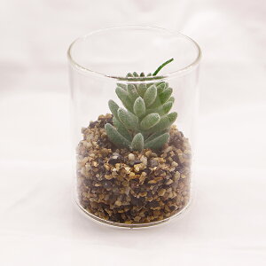 テラリウム 観葉植物の人気商品 通販 価格比較 価格 Com テラリウム 観葉植物の人気商品 通販 価格比較 価格 Com