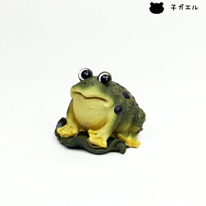 I[ig Aj} JG S 63465 i5032644j ʏz