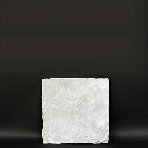 XebvXg[ / VR ~ ABBEY Ar[ Vo[^O[n  27.5cm×27.5cm 3221385  ʏz