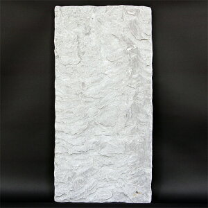 XebvXg[ / VR ~ ABBEY Ar[ Vo[^O[n  56cm×27.5cm 3221393 ʌ ^Eꕨ
