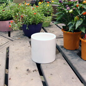 陶器鉢 植木鉢 ホワイトポット丸型 Mサイズ 直径13cm×高さ13cm