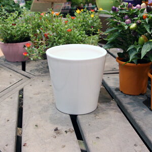 픫 Aؔ zCg|bgې[^ LTCY a18cm×18cm ی^