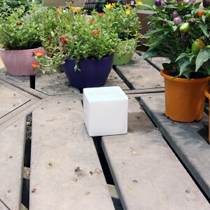 陶器鉢 植木鉢 ホワイトポット角型 Sサイズ 直径9cm×高さ9cm キューブ