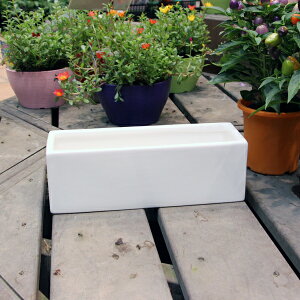 픫 Aؔ zCg|bg^  30cm×10cm