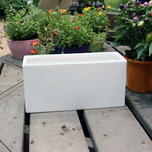 픫 Aؔ zCg|bg^  30cm×15cm