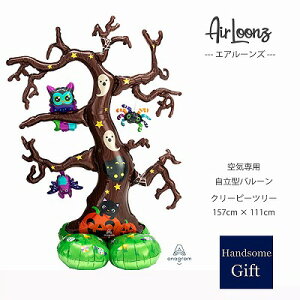 y^o[zynEBzyTCYo[z GA[Y N[s[c[ Xܑ fBXvC fR[V t nEBfBXvC o[ 