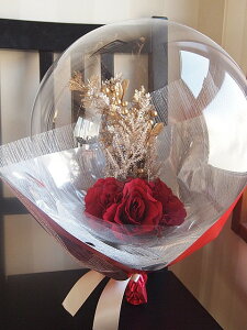 ANAo[̒ [Yu[P o[u[PMtg u[PMtg o  o[Mtgd 蕨 a vw̓ LO  v|[Y 莝u[P