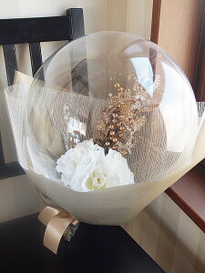 ANAo[̒ [Yu[P o[u[PMtg u[PMtg o  o[Mtgd 蕨 a vw̓ LO  v|[Y 莝u[P