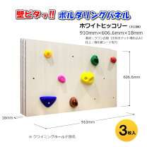 楽天市場】ボルダリング ウォールの通販