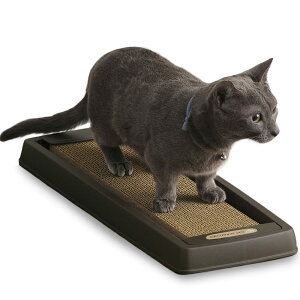 ACXI[} ACXI[} L ܂Ƃ _XgX S~̏Ȃ܂Ƃ X ܂уV[t CTS-540 uE