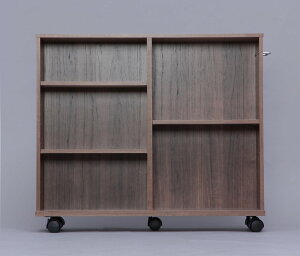 ACXI[} [J[g Lb`S J[g [ [I bN {I 75×s20×65cm LX^[t uE SYR-7520 IRIS OHYAMA