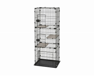 ACXI[} L ˂ LbgP[W ybg 3i Lbg P[W _[NO[ CCC-168 IRIS OHYAMA