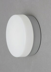 ACXI[} LED|[`  ی^ dF 500lm CL5L-CIPLS-BS IRIS OHYAMA