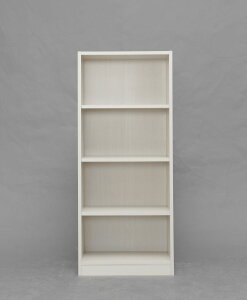 ACXI[} bN Xy[XtBbg 50×s29×120cm ItzCg S-SFR1250 IRIS OHYAMA