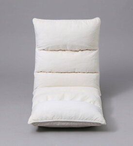 ACXI[} tA`FA ֎q 14iKNCjO AC{[ ᔽ ZCR-2 IRIS OHYAMA