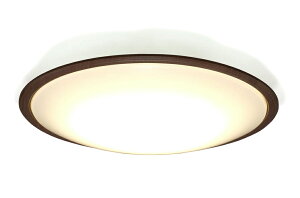 ACXI[} yߓd΍z LEDV[OCg 12F ({ƖHƉ) 10iK F11iK ߓd{^ Rt 5200lm Ebht[ IRIS OHYAMA CEA12DL-5.0QWFM