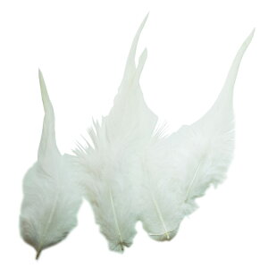  ItzCg  20{ 3-6cm p̉HZH yH | tFU[ ANZT[ p[c ANZT グz[