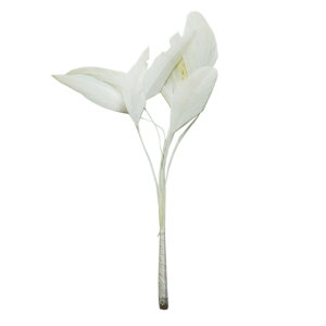 @ 15-20cm yH ANZT[ p[c H tFU[ | ANZT グz