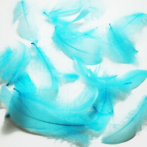 H RL[ F Cgu[ H  r[Y Vg̉H fBXvC GWFV[ ANZT[ wbhhX