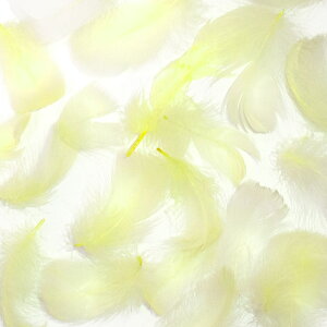 H RL[ N[ H  H  H@r[Y@ Vg̉H@H@fBXvC H GWFV[ H@ANZT[@H wbghX@H@RT[W ŏォ~