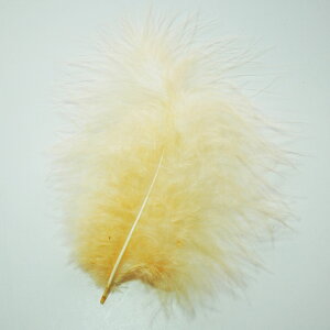 H tbgAC{[ H  H  H@r[Y@ Vg̉H@H@fBXvC H GWFV[ H@ANZT[@H wbghX@H@RT[Wy[