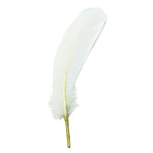 y[։\z_bN (z) i10-15cmj 20 H ypzytFU[ ANZT[ p[c H | ANZT グ Hz