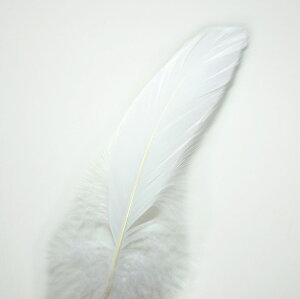 iS 10-16cm 8{yHߑ@_X@ߑCN@| CfBAANZT[@EFfBO t[AWg  p[c `[@nhCh zy[ցz