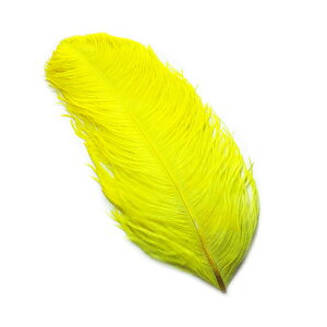 I[Xgb` 45`55cm ij ̉H̓fBXvCAANZT[AwbghX H @ߑ _Xߑ