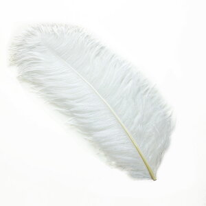 I[Xgb`45`55cm H ij yH_CeA_|_ANZT[_p[c_tFU[_グ_ANZTzH @ߑ _Xߑ