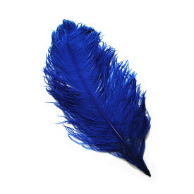 オーストリッチ 45～55cm （青） この羽根はディスプレイ、アクセサリー、ヘットドレス羽 髪飾り　舞台衣装 ダンス衣装