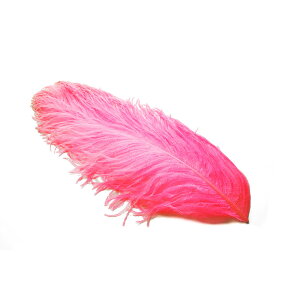 HI[Xgb` 45`55cm isNj HfBXvCAANZT[AwbghX ߑ _Xߑ