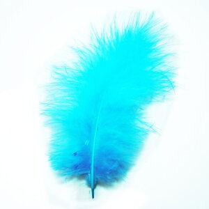 H tbg僉Cgu[ H  H  H@r[Y@ Vg̉H@H@fBXvC H GWFV[ H@ANZT[@H wbghX@H@RT[Wy[