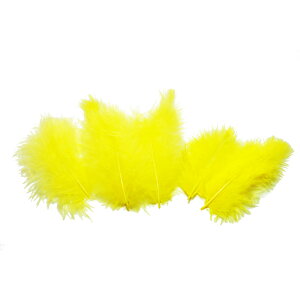 H tbgF H  H  H@r[Y@ Vg̉H@H@fBXvC H GWFV[ H@ANZT[@H wbghX@H@RT[Wy[ցz