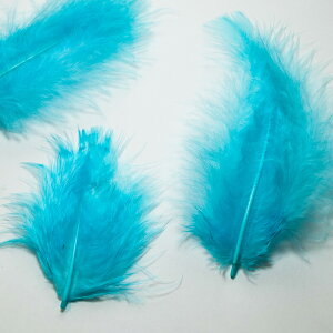 H tbg Cgu[ H  H  H@r[Y@ Vg̉H@H@fBXvC H GWFV[ H@ANZT[@H wbghX@H@RT[W