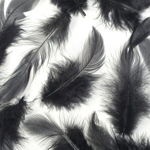 H  H  ubN 5g H y[ցzytFU[zH  H | H r[Y H Xq@h[Lb`[