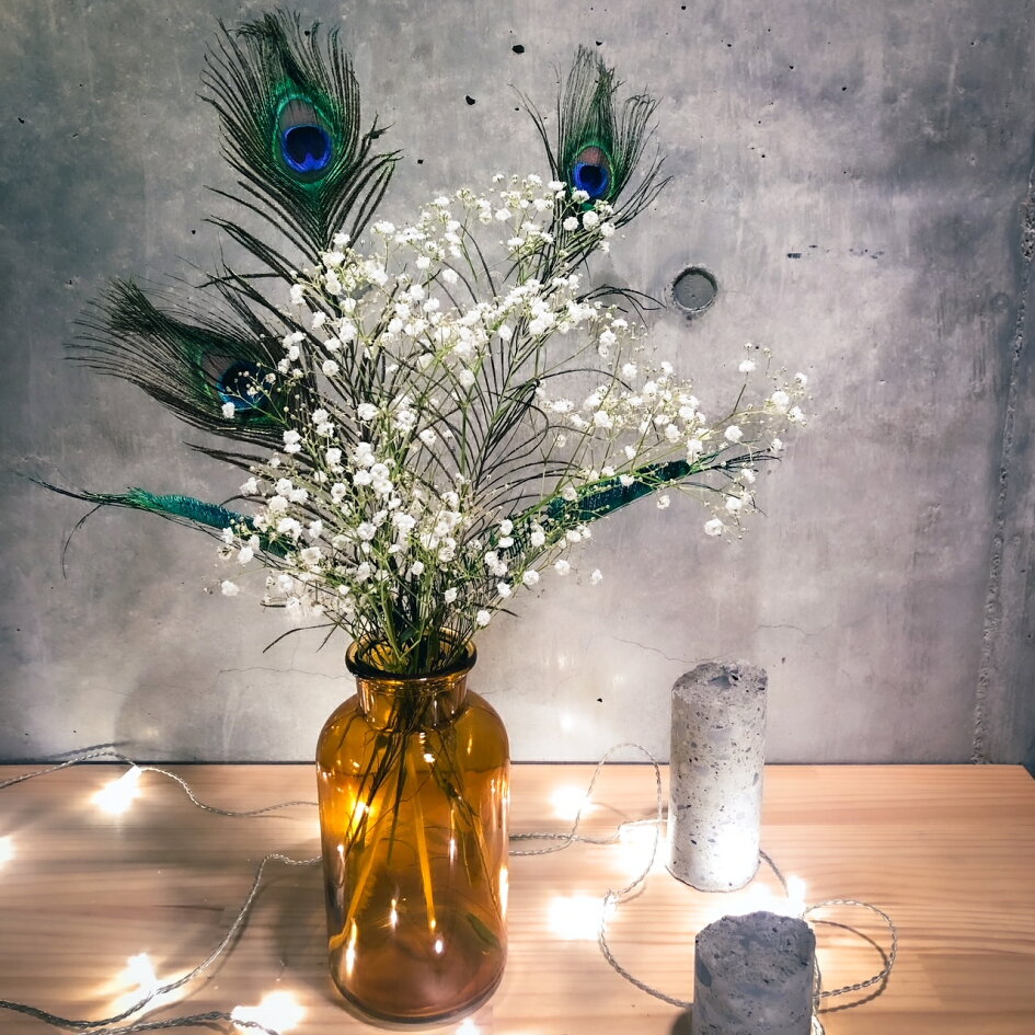 楽天市場 羽のフェザーと羽根の羽根ペンの販売 羽と羽根の専門店 羽根の専門店 トップページ