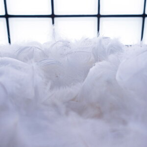 H RL[  H  H  H@r[Y@ Vg̉H@H@fBXvC H GWFV[ H@ANZT[@H wbghX@H@RT[W