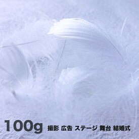 羽 コキール 白 100g 羽 飾り 羽根 髪飾り 羽　ビーズ　 天使の羽根　羽　ディスプレイ 羽 エンジェルシャワー 羽根　アクセサリー　羽根 ヘットドレス