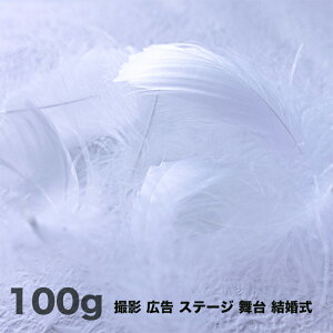 H RL[  100g H  H  H@r[Y@ Vg̉H@H@fBXvC H GWFV[ H@ANZT[@H wbghX