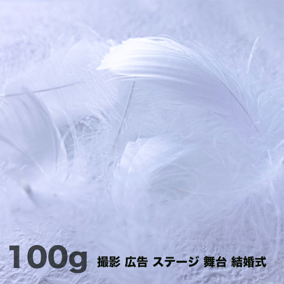 楽天市場 羽のフェザーと羽根の羽根ペンの販売 羽と羽根の専門店 羽根の専門店 トップページ