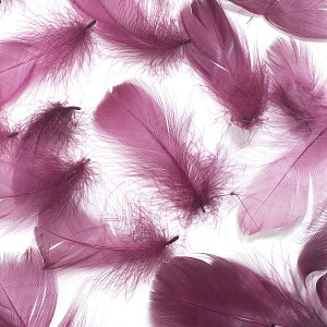 H@RL[ {h[ H  H  H@r[Y@ Vg̉H@H@fBXvC H GWFV[ H@ANZT[@H wbghX@H@RT[W