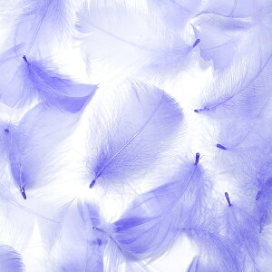 H RL[ TL H  H  H@r[Y@ Vg̉H@H@fBXvC H GWFV[ H@ANZT[@H wbghX@H@RT[W