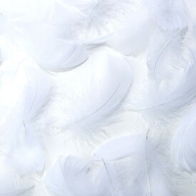 コキール（白）白い羽根 白の羽根 この羽根はディスプレイ、エンジェルシャワー アクセサリー ヘットドレス等に使用されてます