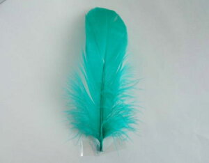 iS  yp̉H Hߑ@_X@CfBAANZT[@EFfBO t[AWg  p[c `[@nhCh zy[ցz