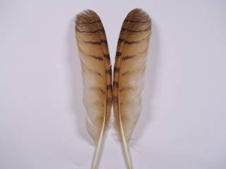 装飾用の羽根 アクセサリー パーツ オリジナル 羽 羽根 しゅげい 再再販 アクセサリ 手芸 ワシミミズクホロ小 フェザー