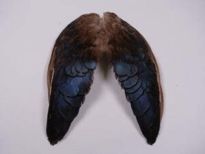 MPCH p̉H yANZT[ p[c H | ANZT tFU[ グz