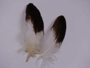 CkVE H p̉H yANZT[ p[c H | ANZT tFU[ グzy[ցz