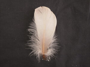 iS uyp̉H Hߑ@_X@CfBAANZT[@EFfBO t[AWg  p[c `[@nhCh zy[ցz