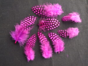 zz@C/ p̉H yANZT[ p[c H tFU[ | ANZT グzy[ցz